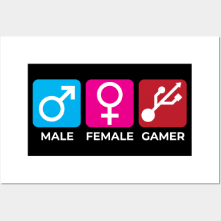 Gamer Male Female Posters and Art